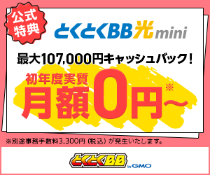GMOとくとくBB光
